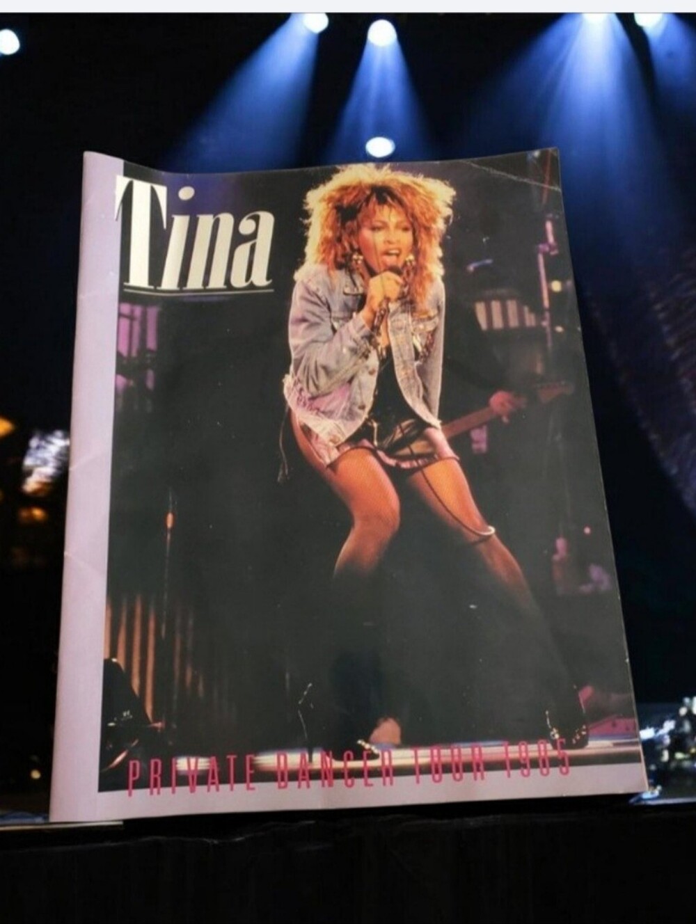 Tina Turner Private Dancer 1985 Concert Tour Program Book